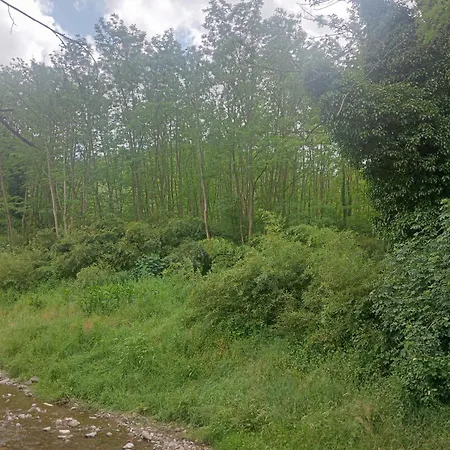 Ducato Delle Seimiglia 4* Camaiore